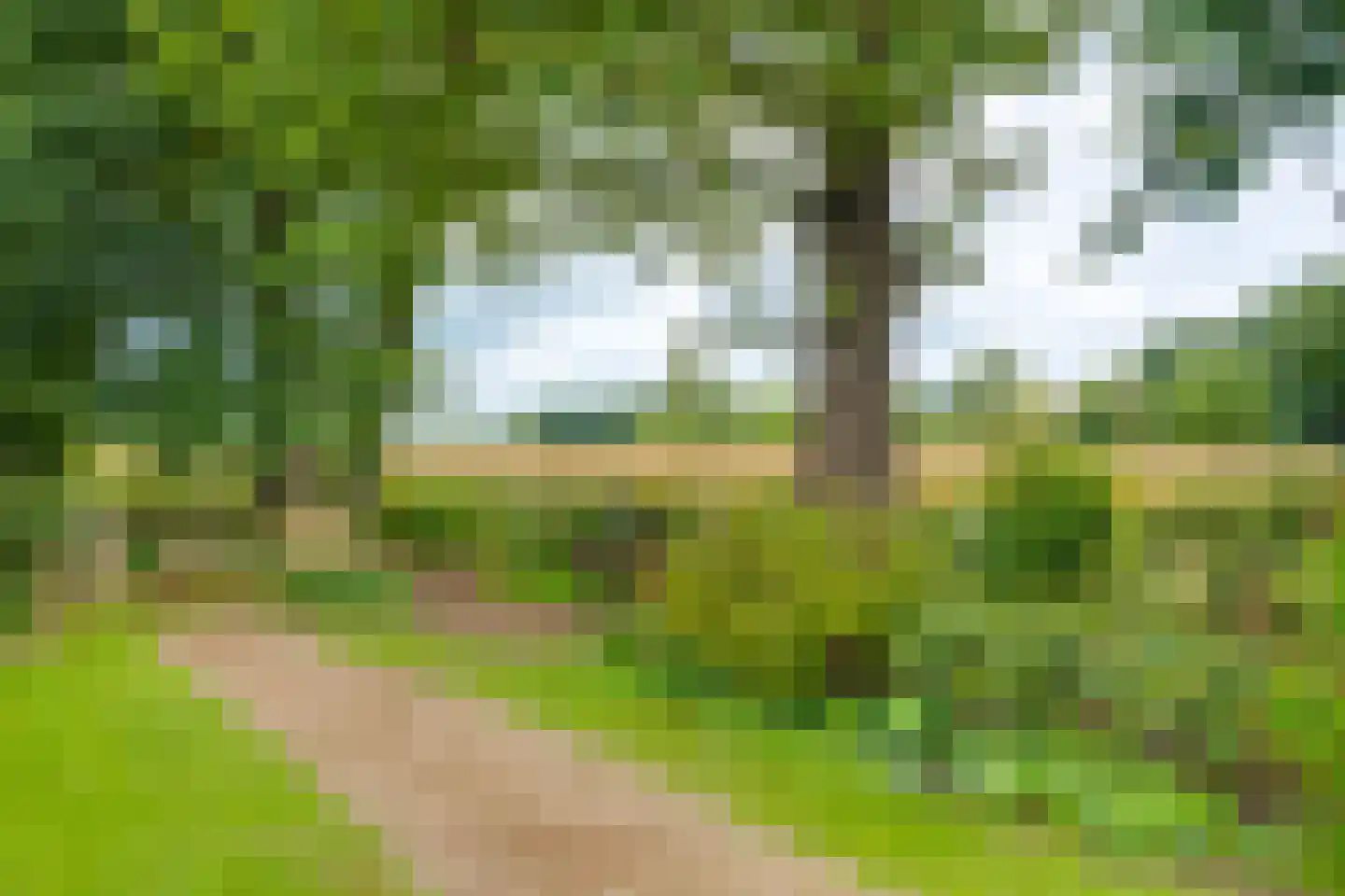 Needse Tolweg 25 Geesteren thumbnail 35