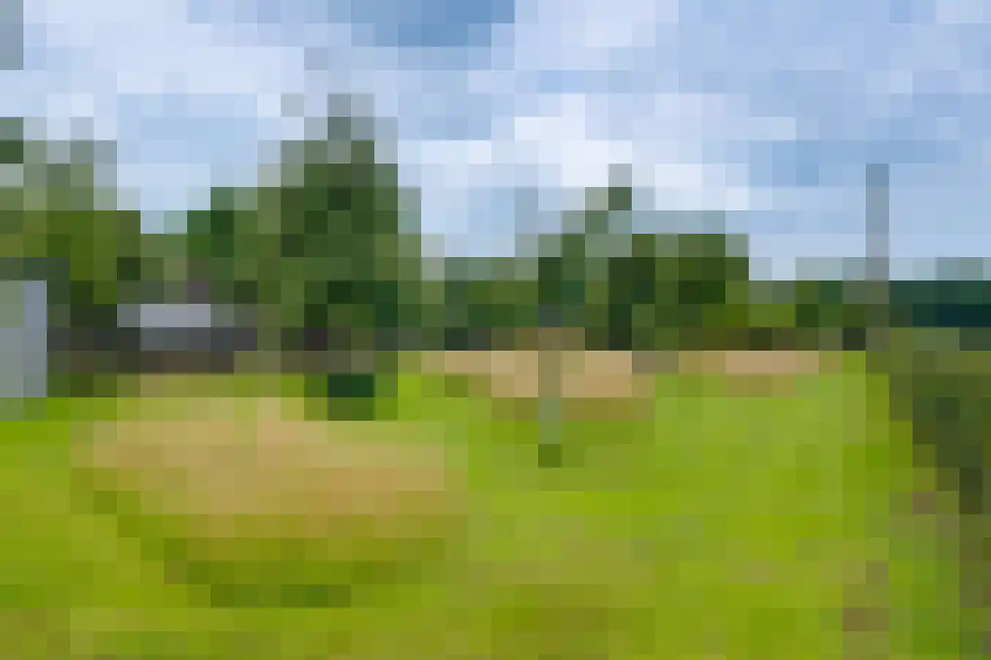 Needse Tolweg 25 Geesteren thumbnail 36