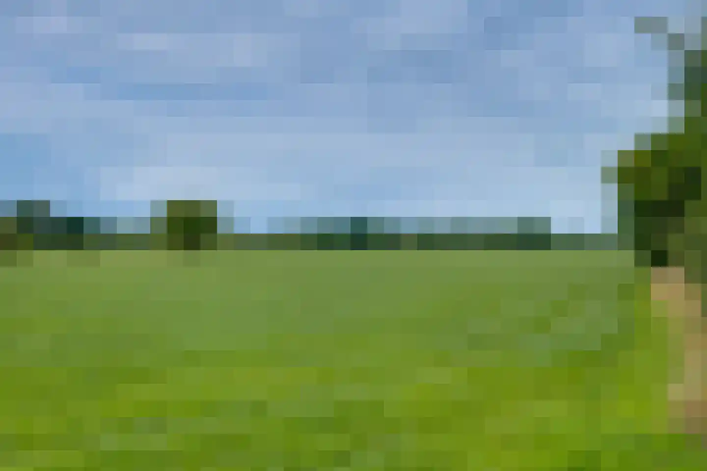 Needse Tolweg 25 Geesteren thumbnail 37