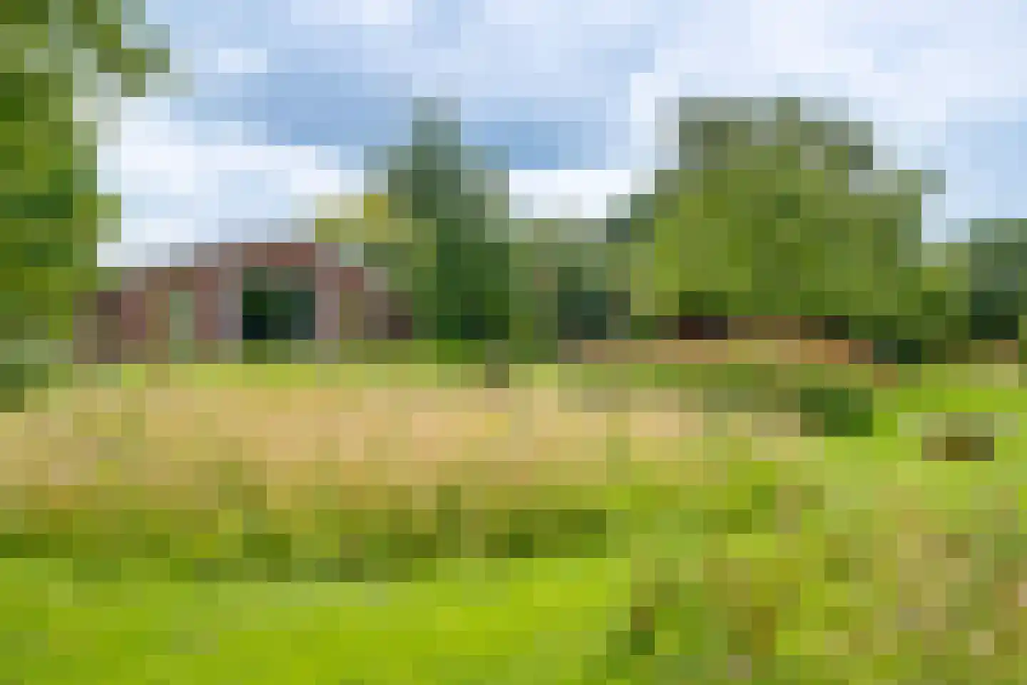 Needse Tolweg 25 Geesteren thumbnail 38