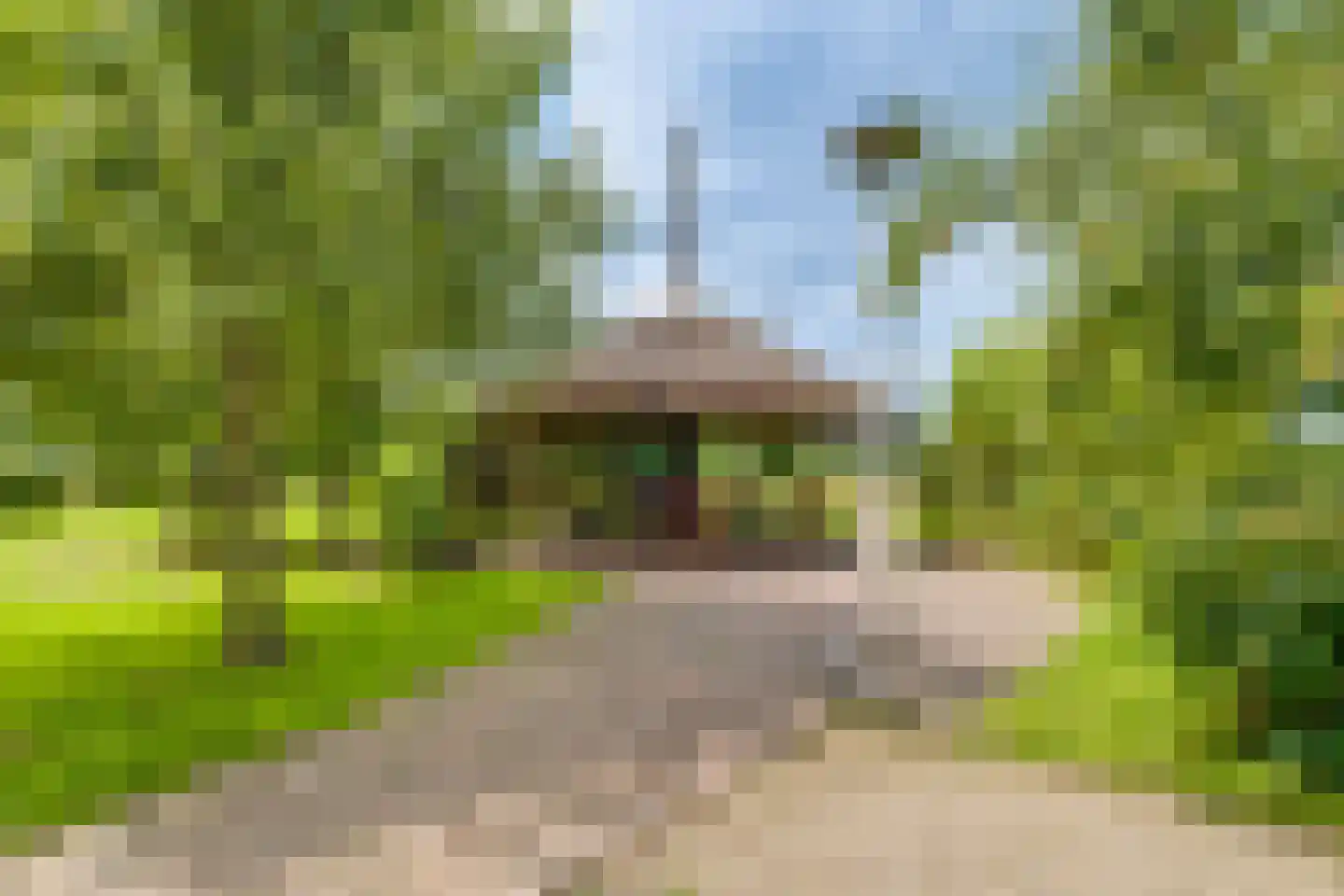Needse Tolweg 25 Geesteren thumbnail 39