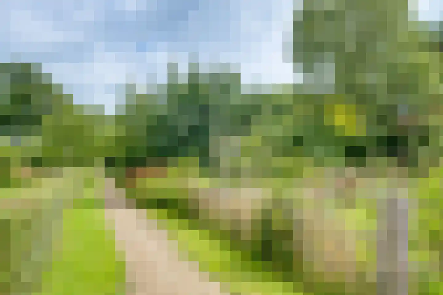 Needse Tolweg 25 Geesteren thumbnail 40