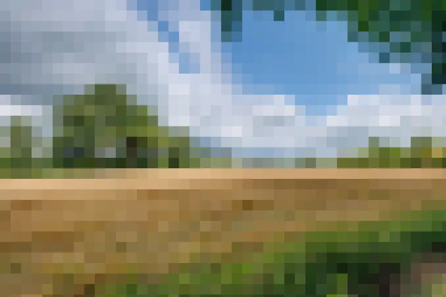 Needse Tolweg 25 Geesteren thumbnail 41