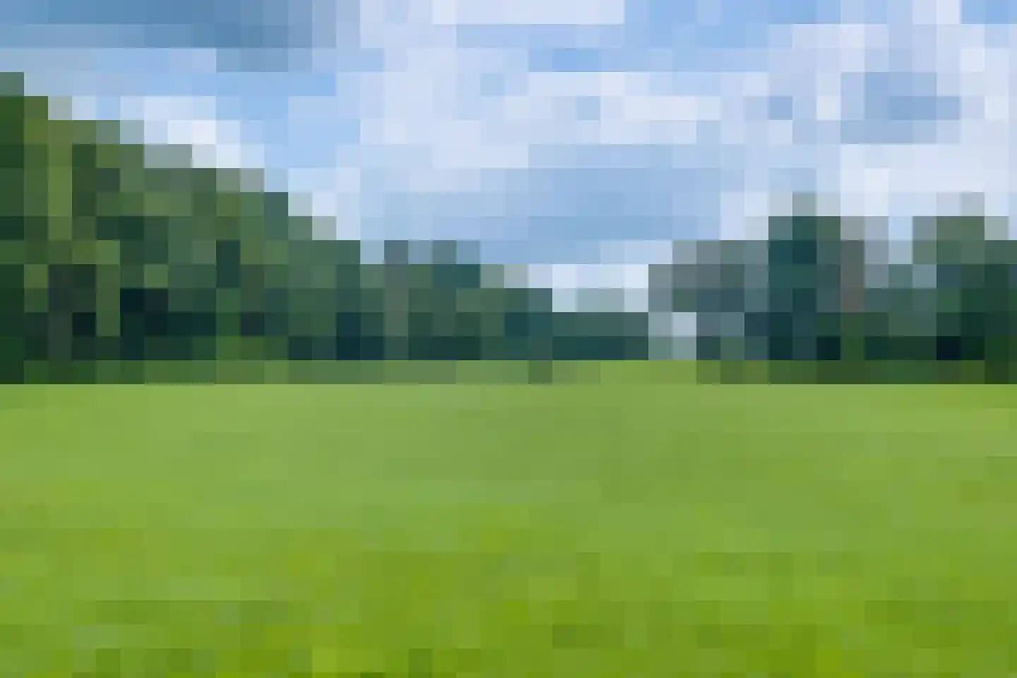 Needse Tolweg 25 Geesteren thumbnail 42