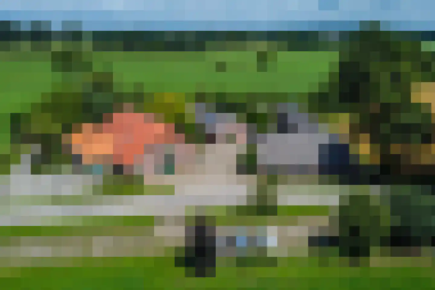Needse Tolweg 25 Geesteren thumbnail 43
