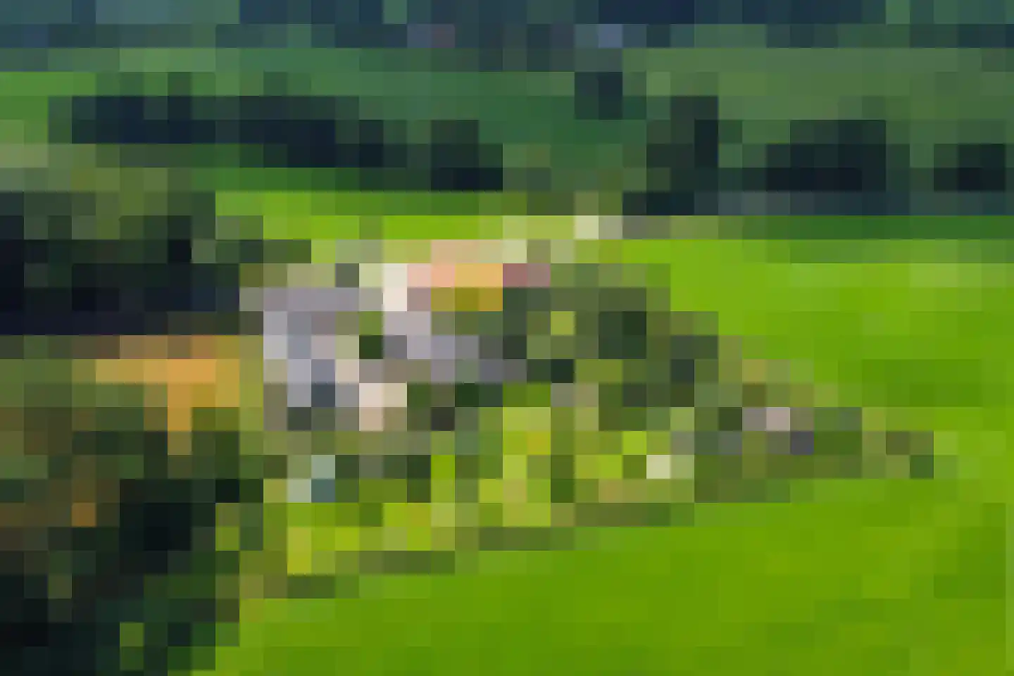 Needse Tolweg 25 Geesteren thumbnail 44