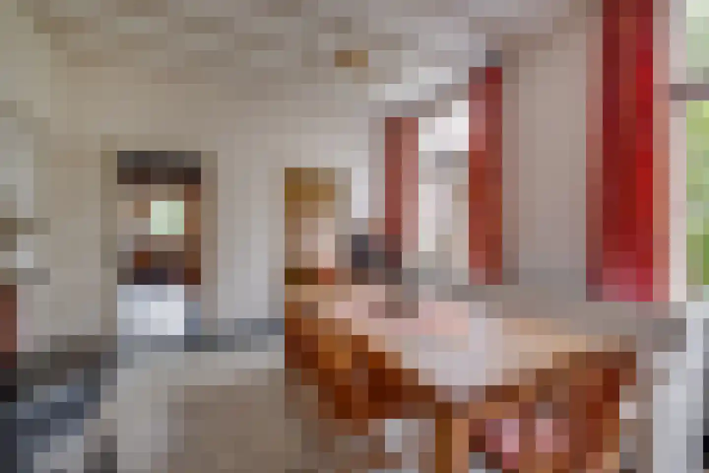 Needse Tolweg 25 Geesteren thumbnail 5