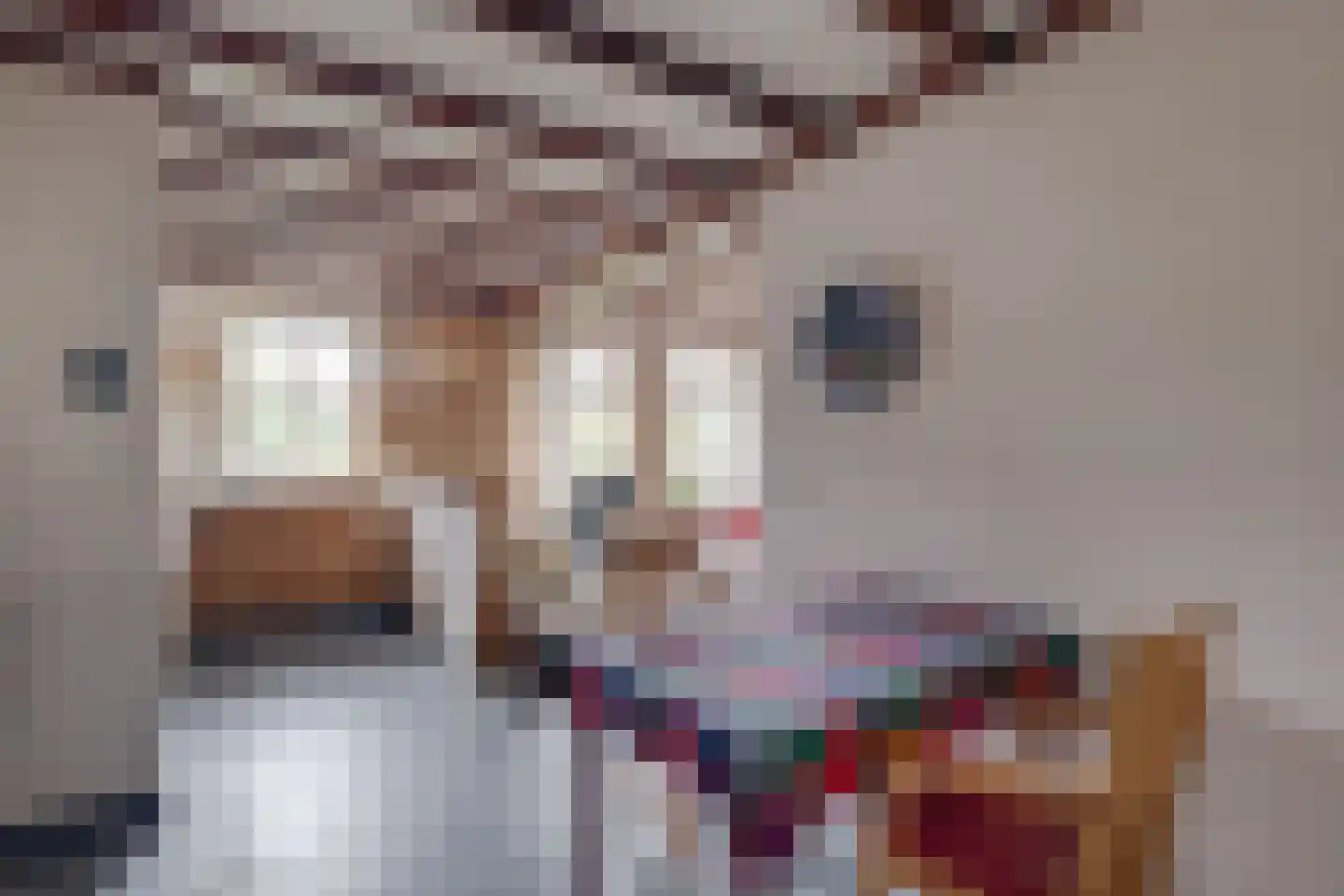 Needse Tolweg 25 Geesteren thumbnail 7
