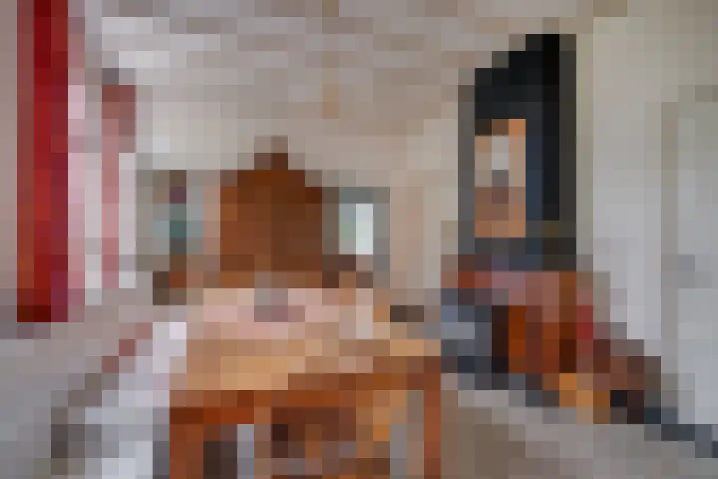Needse Tolweg 25 Geesteren thumbnail 9