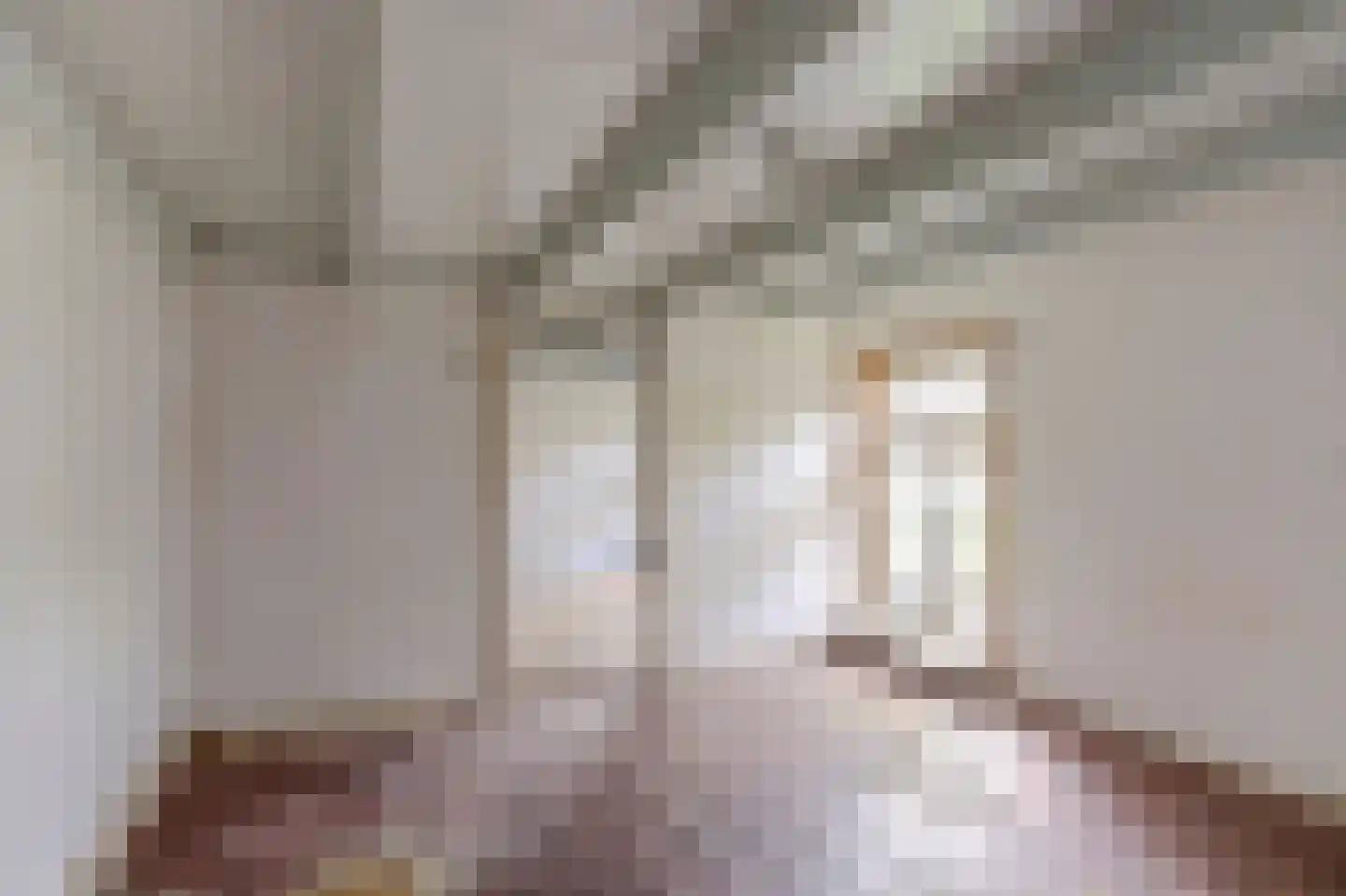 Needse Tolweg 5 Geesteren thumbnail 10