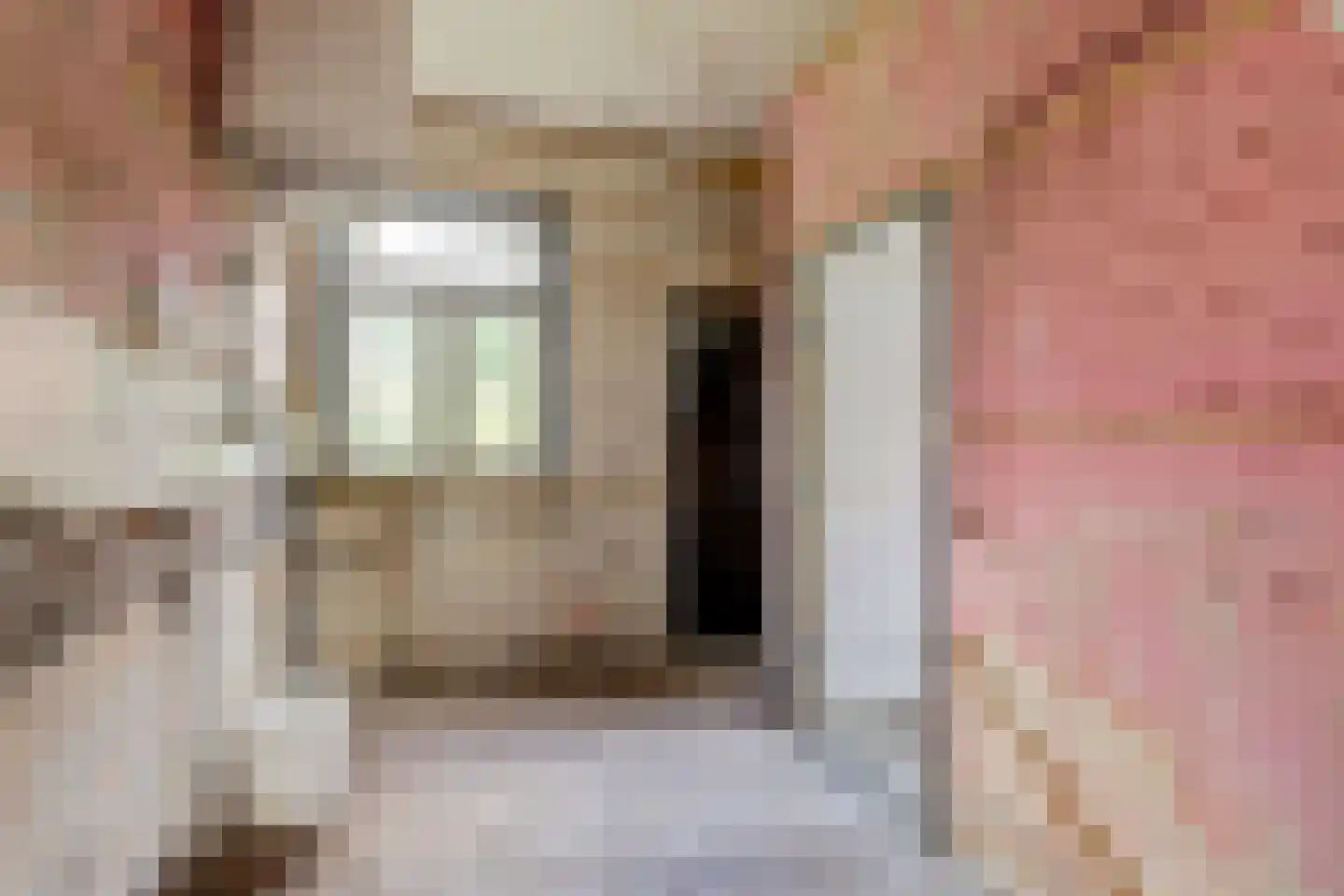 Needse Tolweg 5 Geesteren thumbnail 11