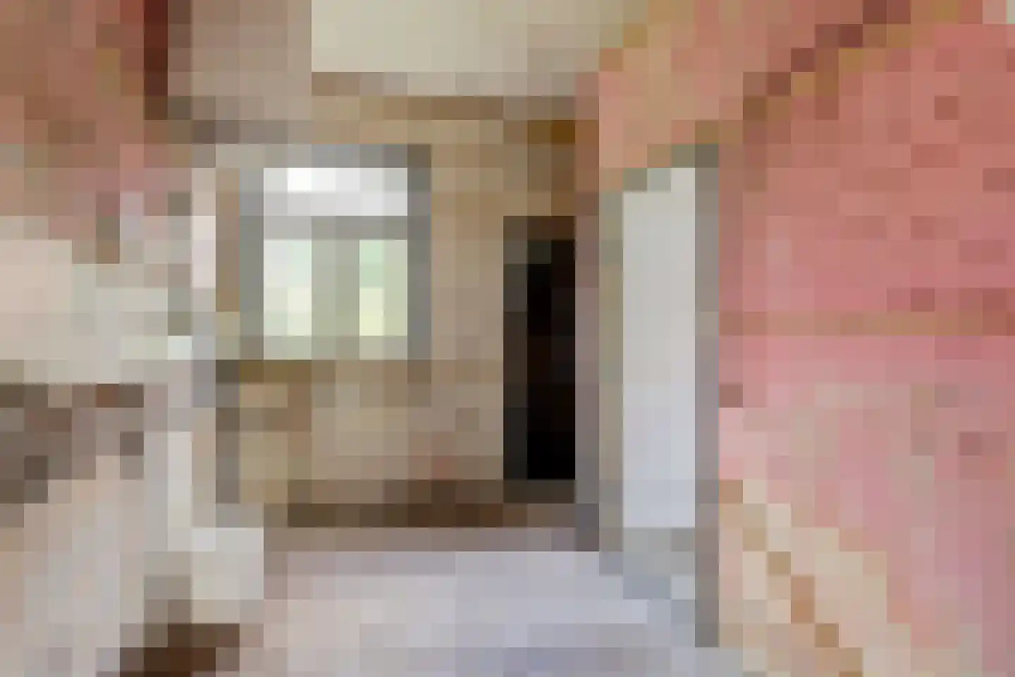 Needse Tolweg 5 Geesteren thumbnail 11