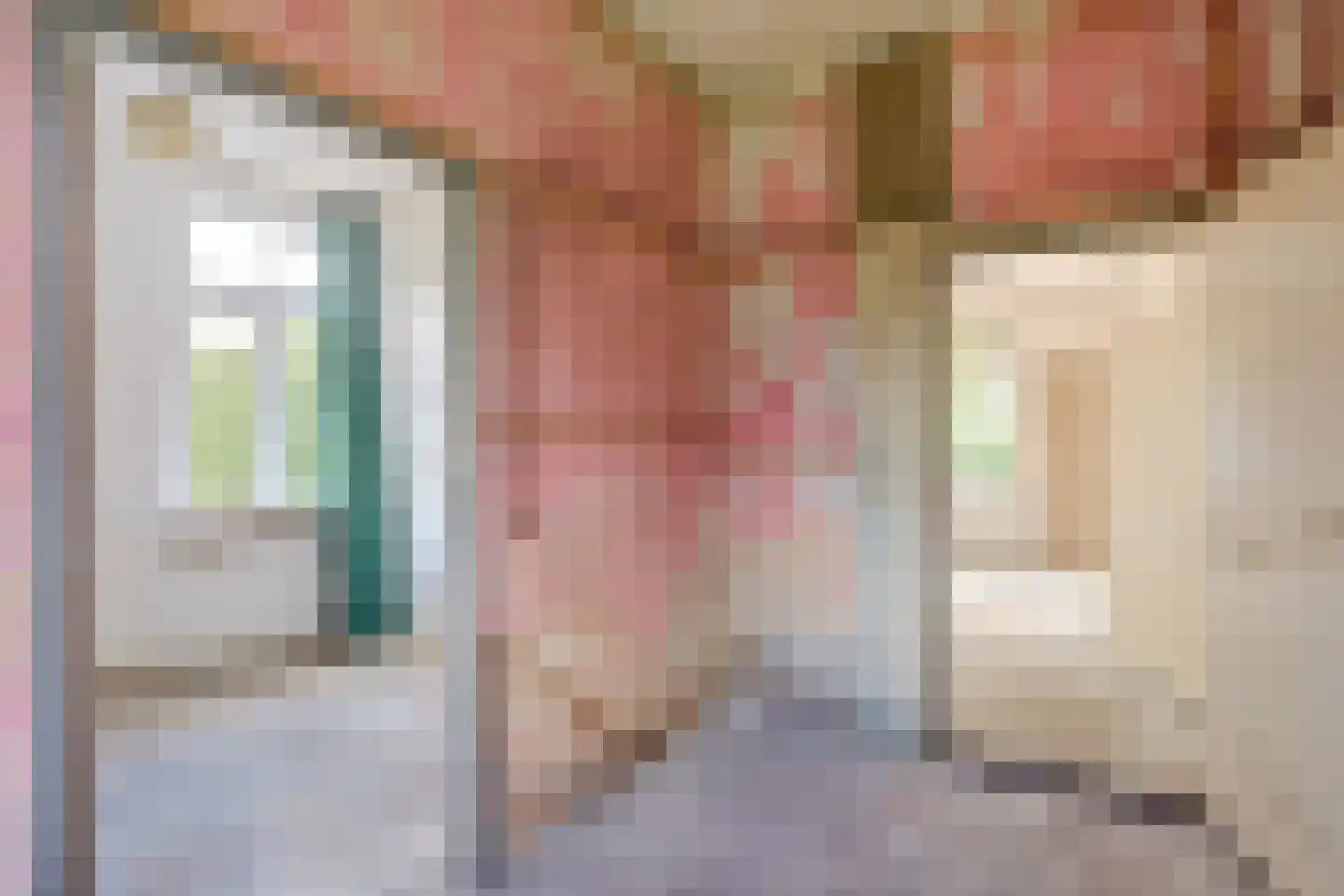 Needse Tolweg 5 Geesteren thumbnail 12