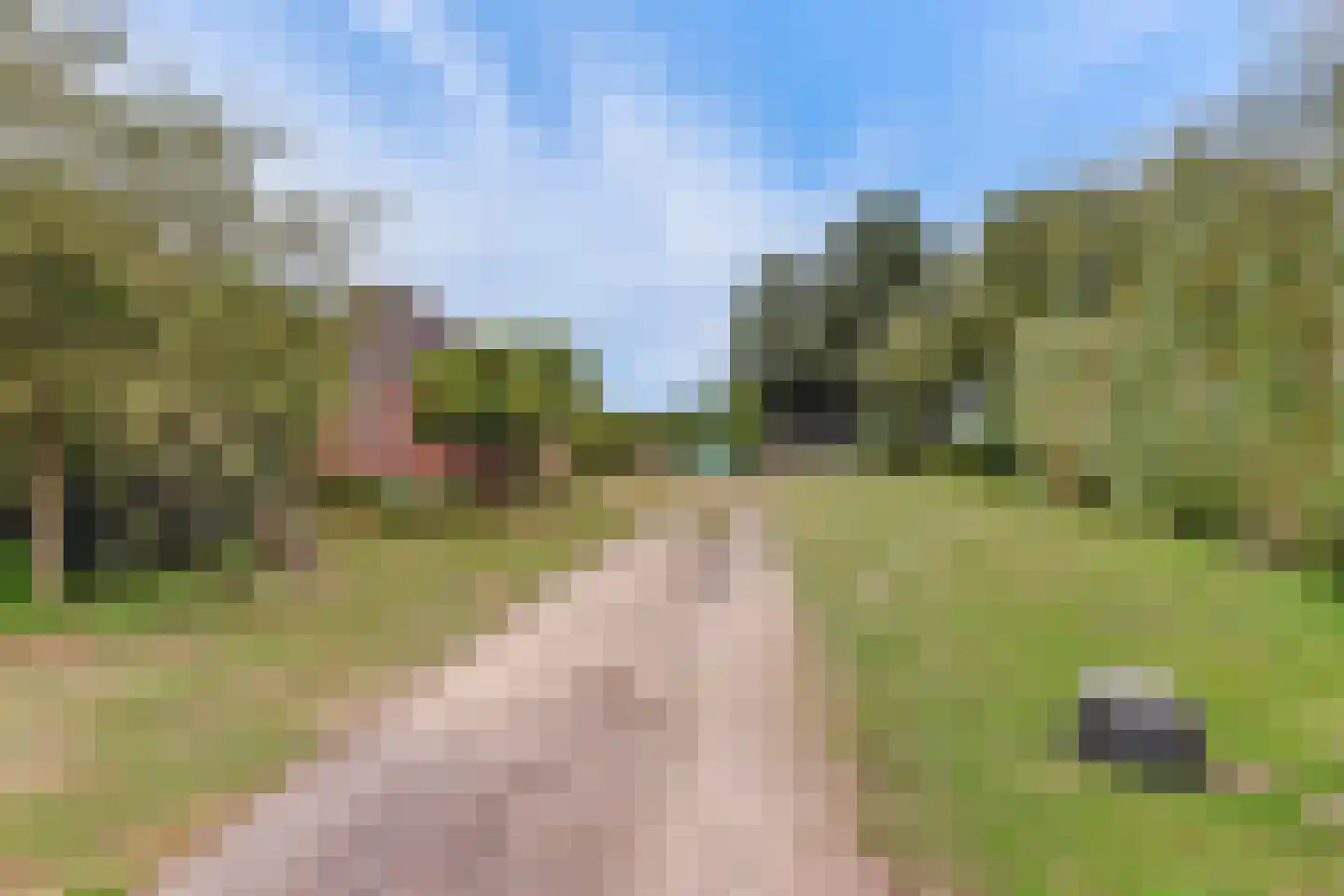 Needse Tolweg 5 Geesteren thumbnail 15
