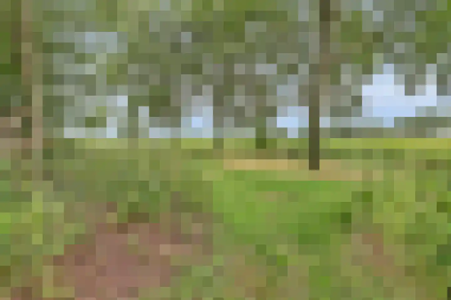 Needse Tolweg 5 Geesteren thumbnail 16