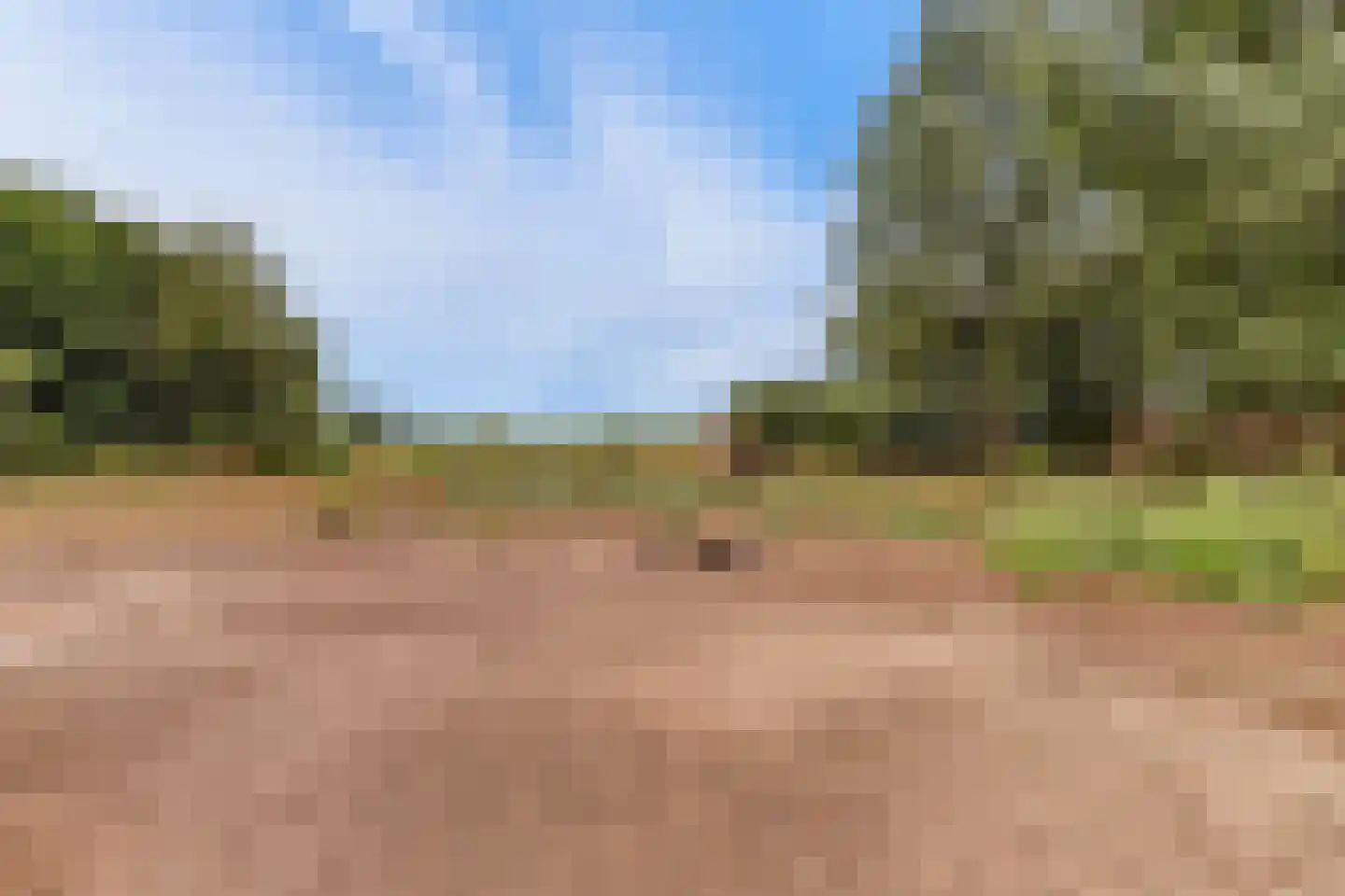 Needse Tolweg 5 Geesteren thumbnail 17