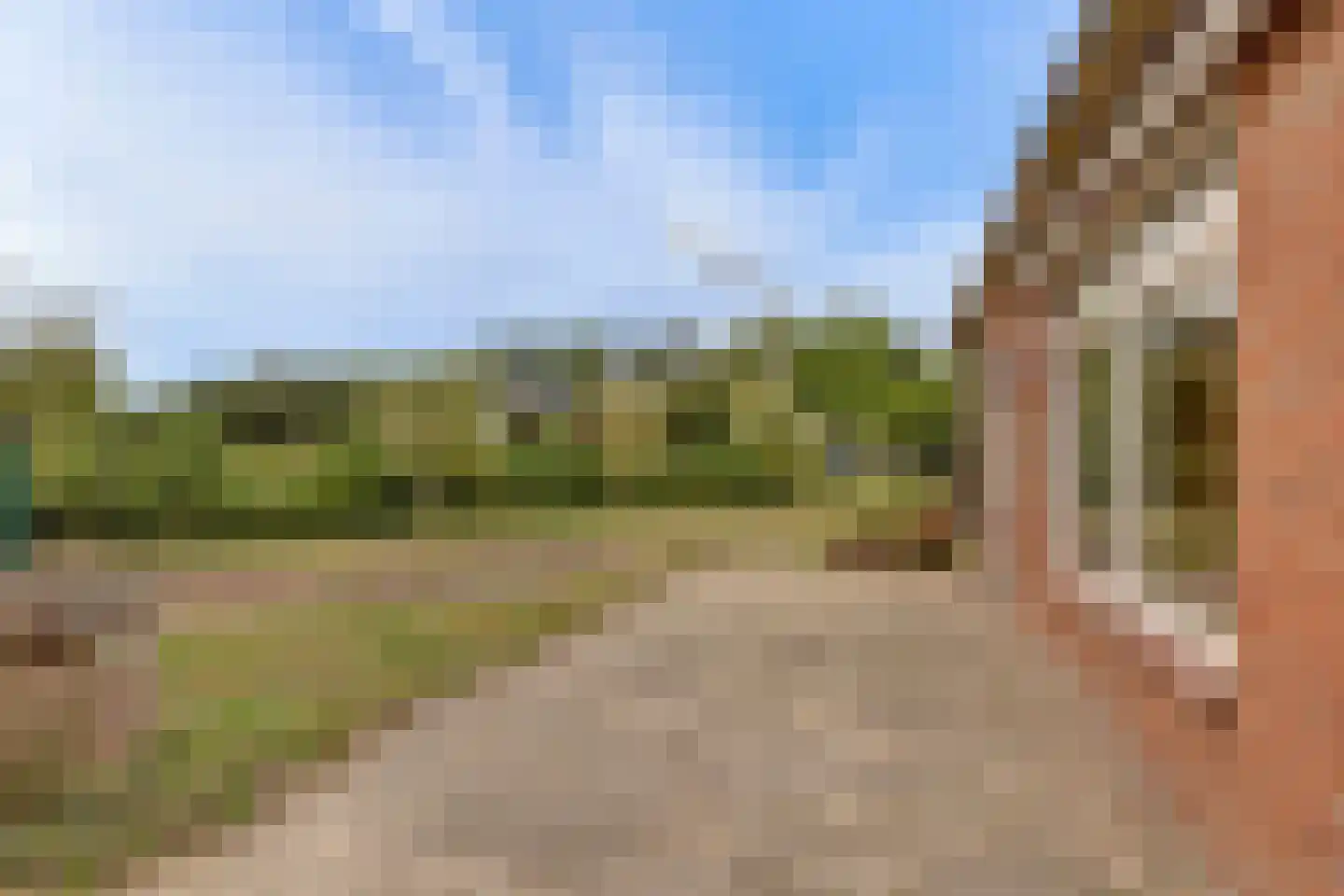 Needse Tolweg 5 Geesteren thumbnail 18