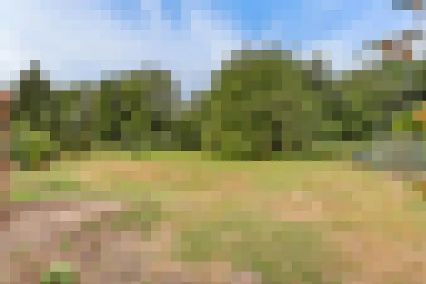 Needse Tolweg 5 Geesteren thumbnail 19