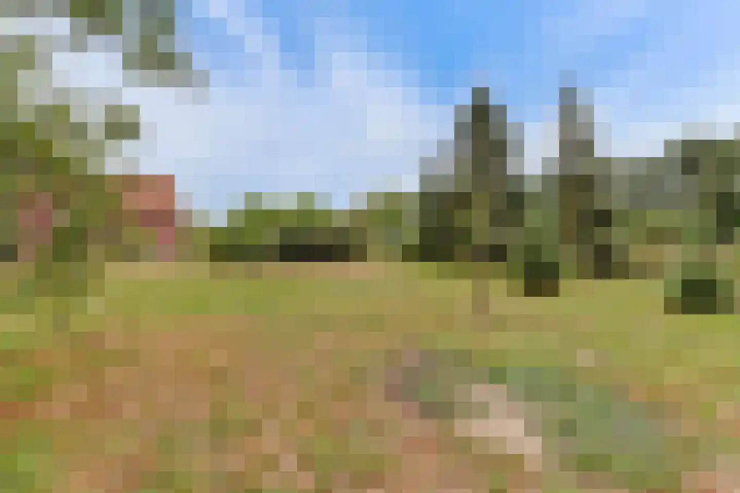 Needse Tolweg 5 Geesteren thumbnail 21