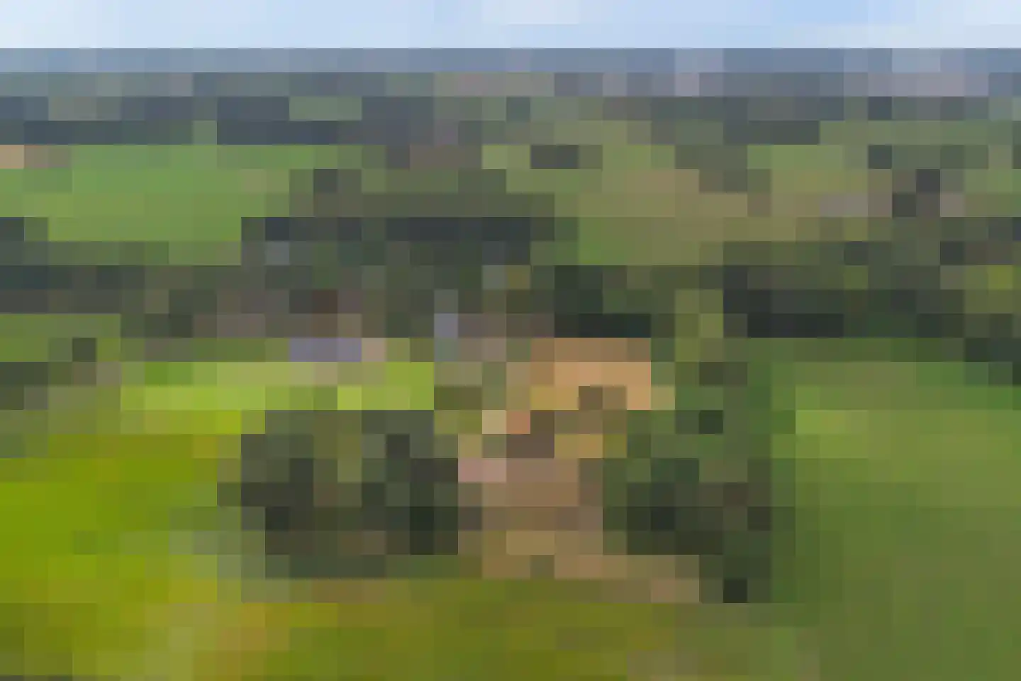 Needse Tolweg 5 Geesteren thumbnail 22