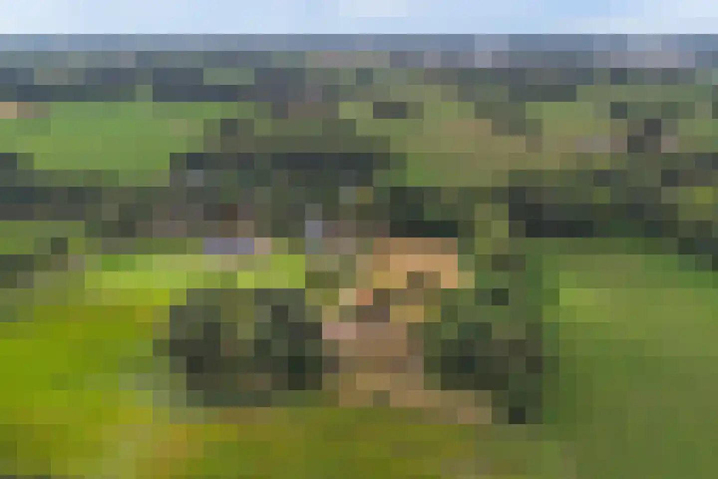 Needse Tolweg 5 Geesteren thumbnail 22