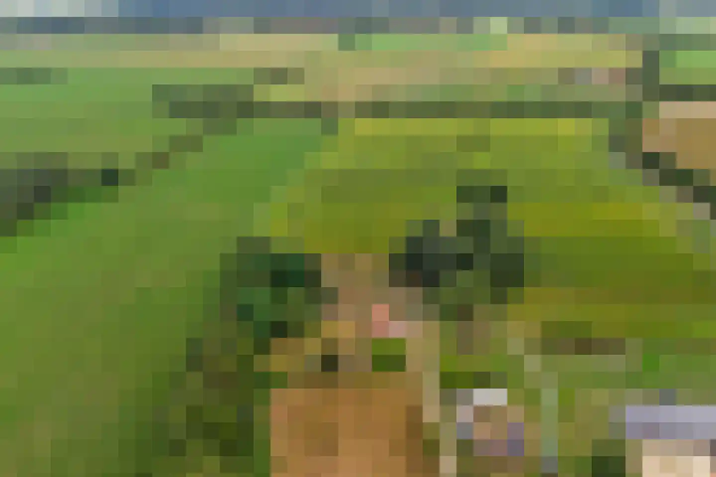 Needse Tolweg 5 Geesteren thumbnail 23