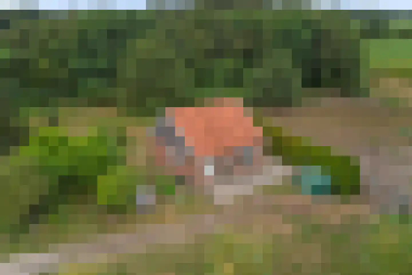 Needse Tolweg 5 Geesteren thumbnail 24