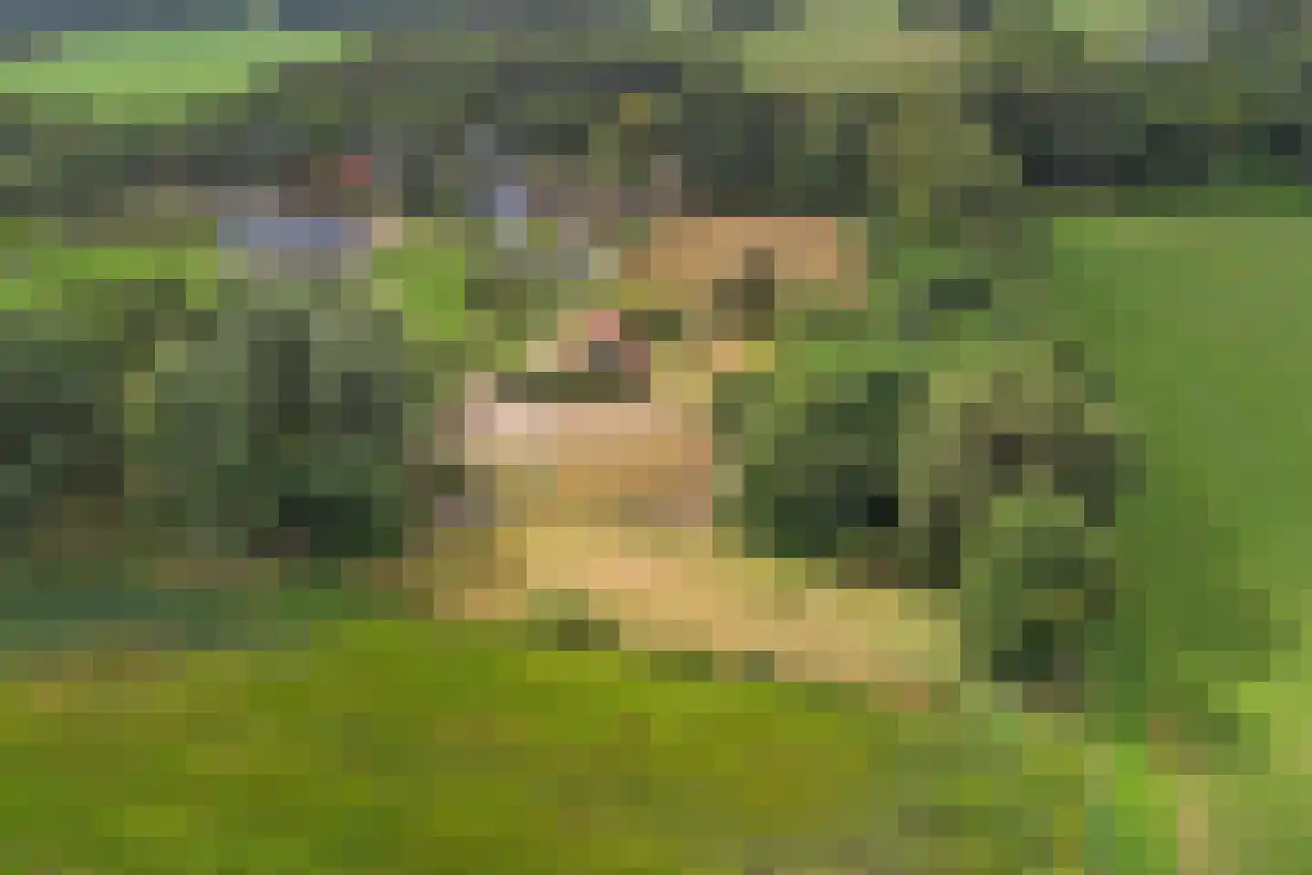 Needse Tolweg 5 Geesteren thumbnail 4