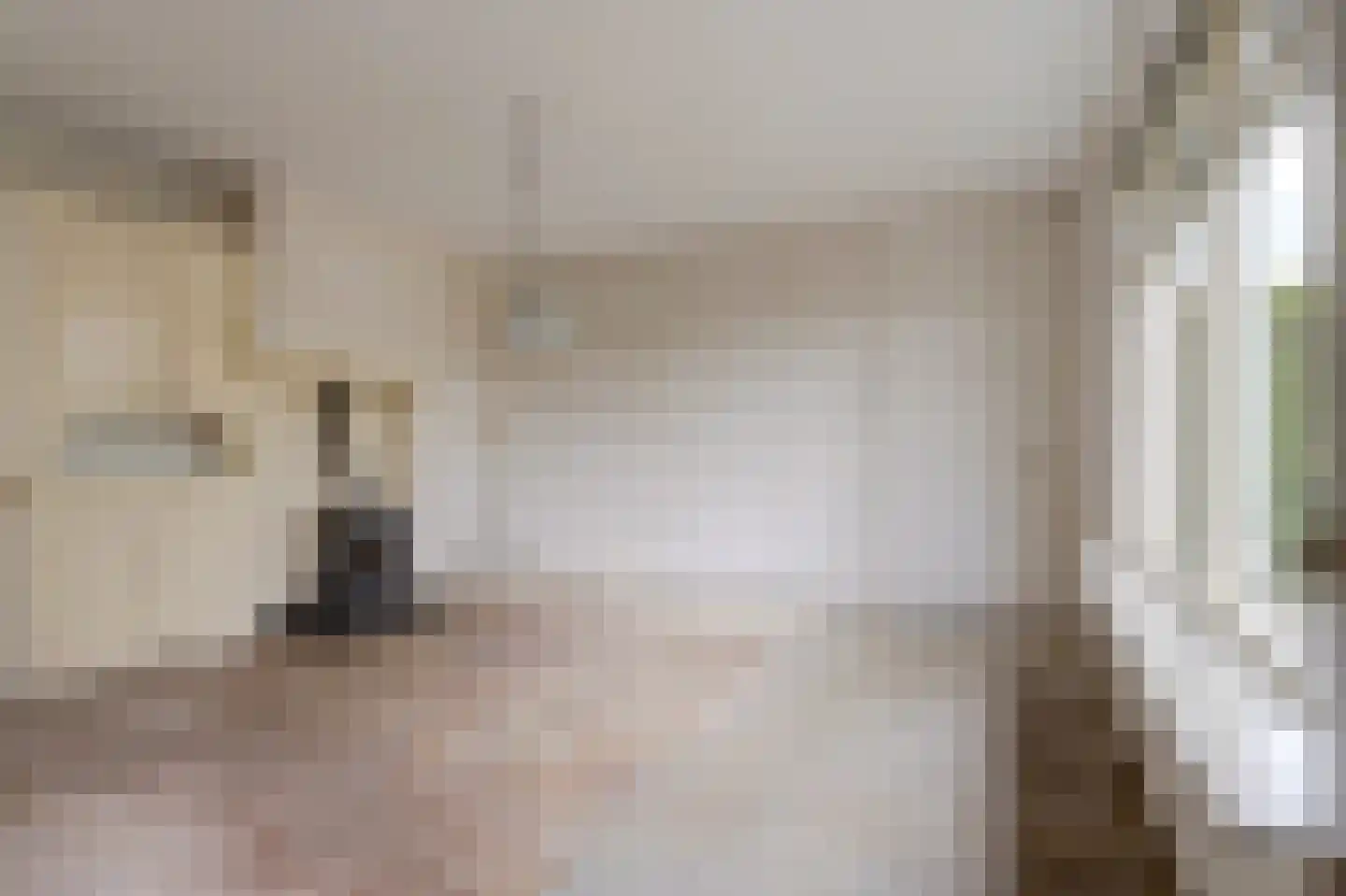 Needse Tolweg 5 Geesteren thumbnail 5