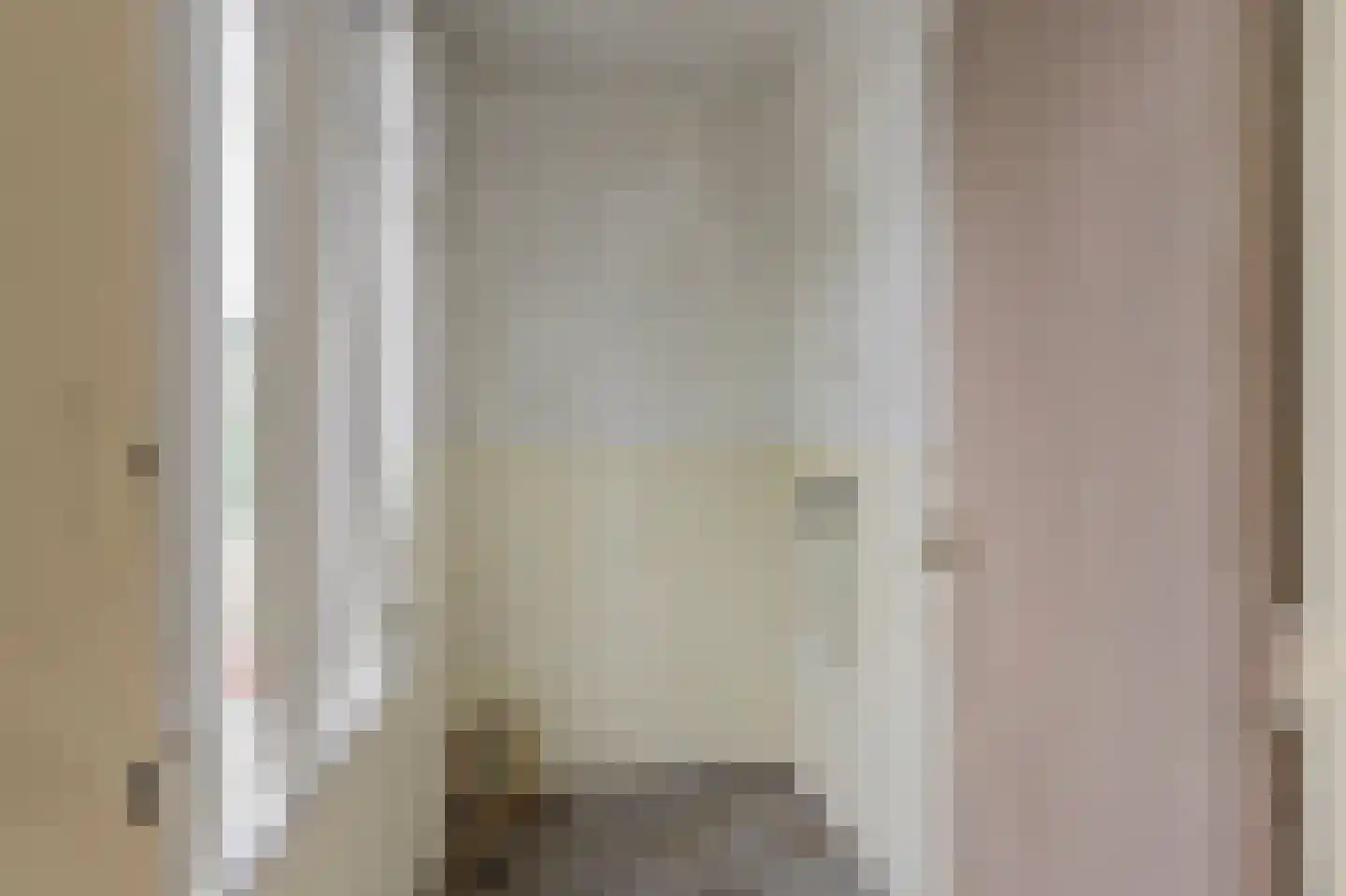 Needse Tolweg 5 Geesteren thumbnail 8