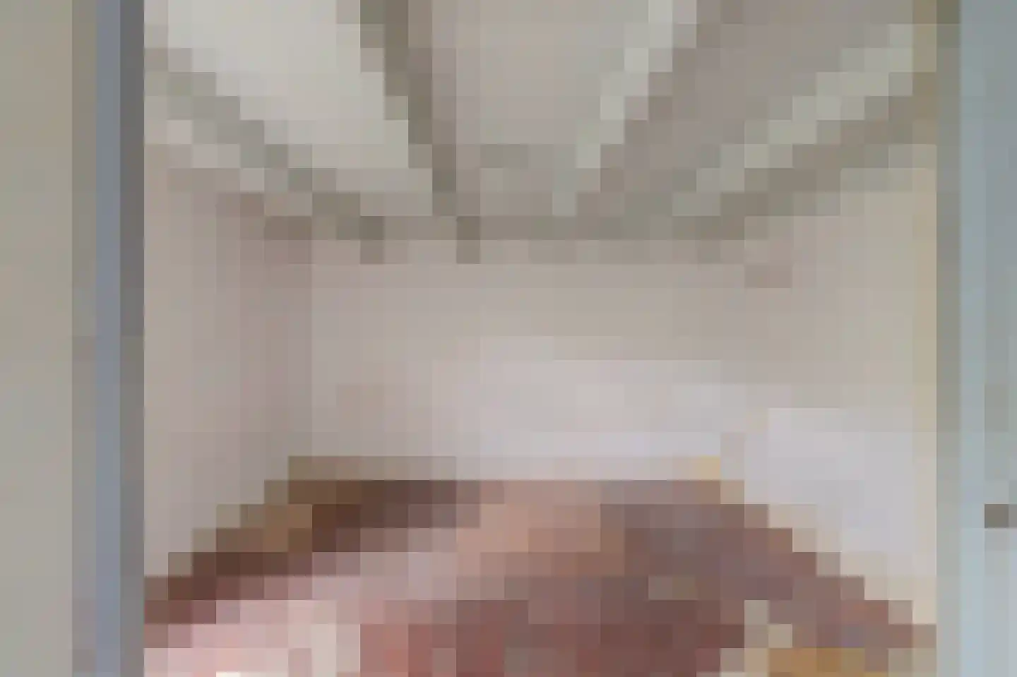 Needse Tolweg 5 Geesteren thumbnail 9