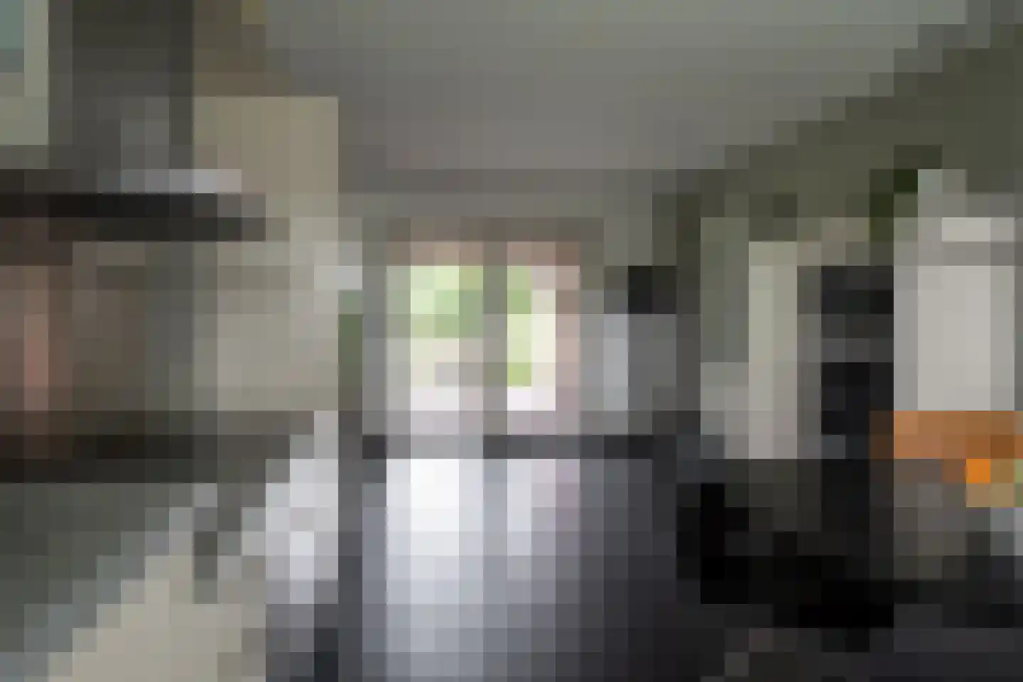 Needseweg 8 Haaksbergen thumbnail 16