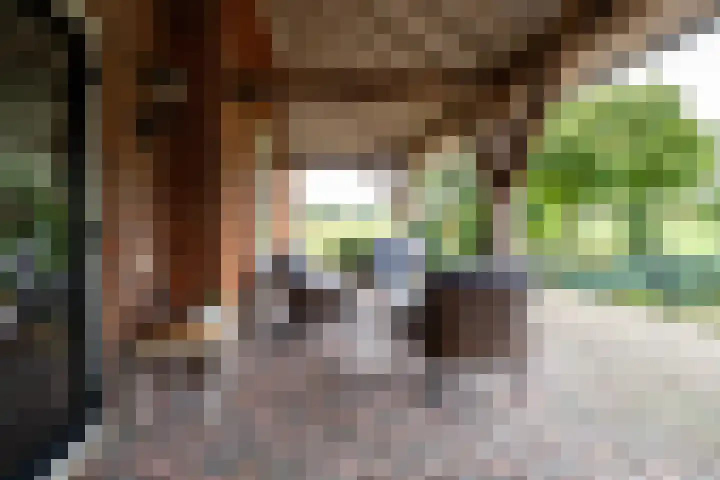 Needseweg 8 Haaksbergen thumbnail 19