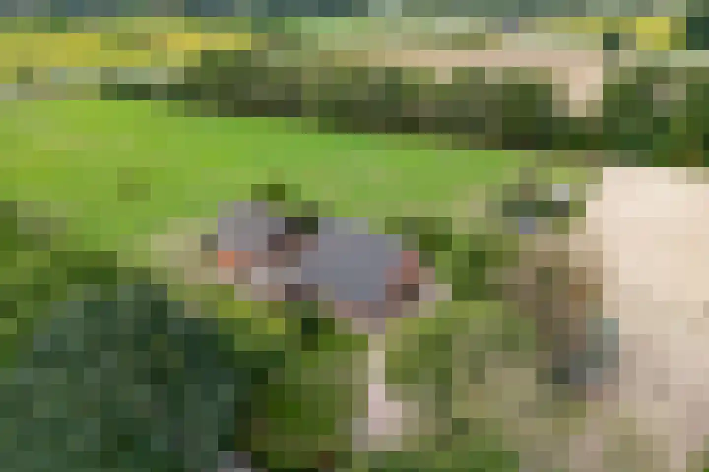 Needseweg 8 Haaksbergen thumbnail 47