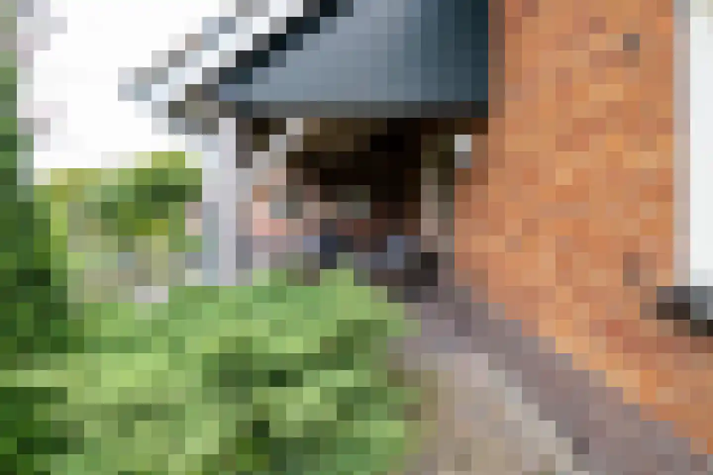 Needseweg 8 Haaksbergen thumbnail 54