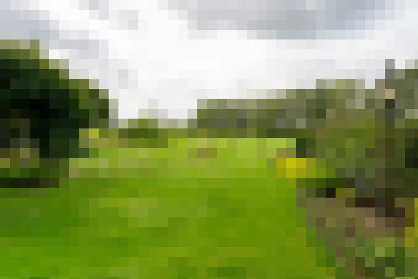 Needseweg 8 Haaksbergen thumbnail 56
