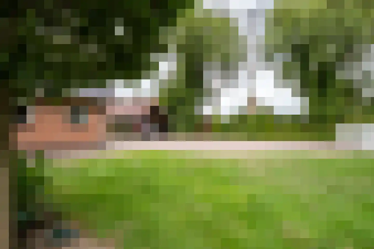 Needseweg 8 Haaksbergen thumbnail 61
