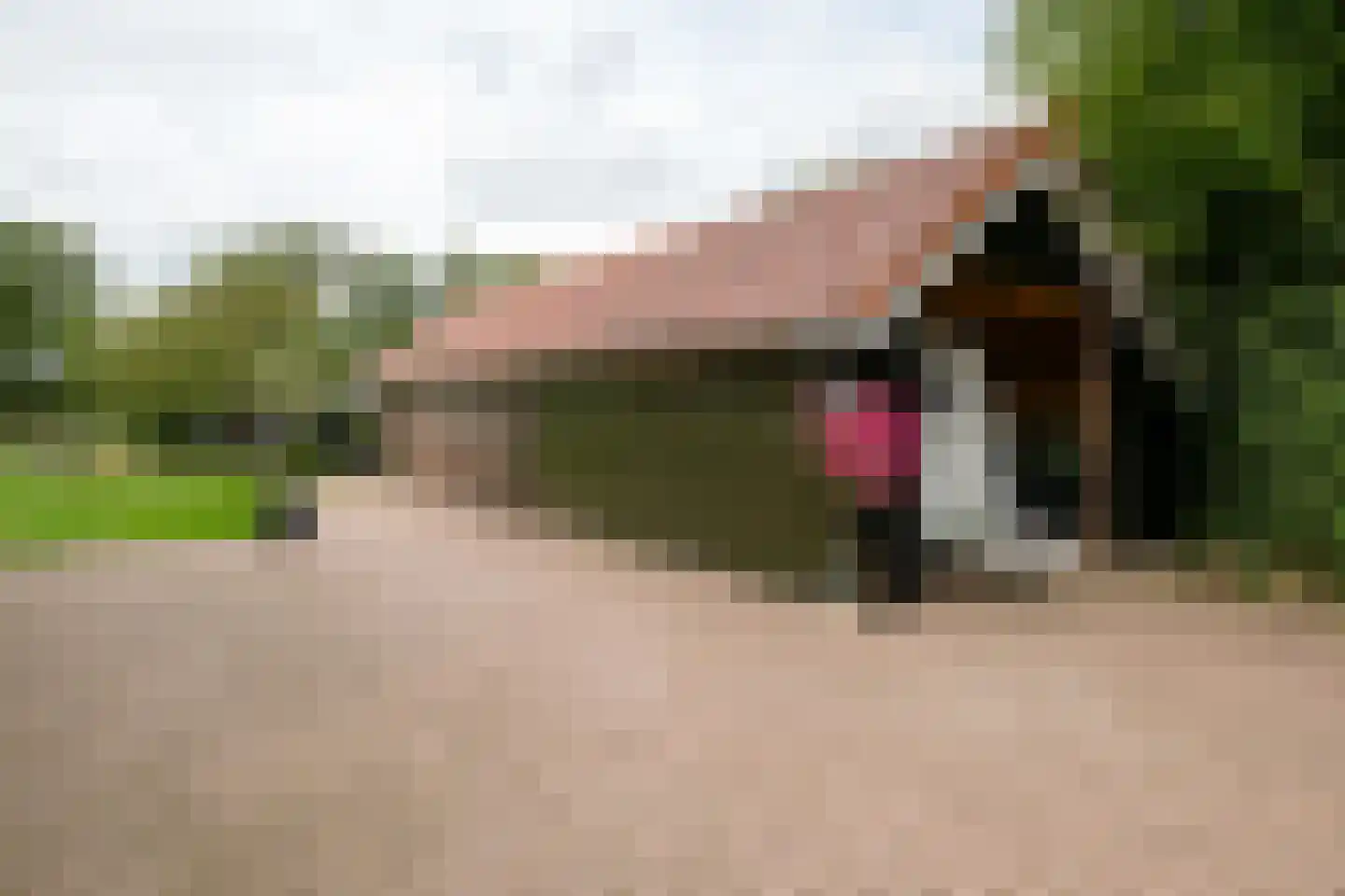 Needseweg 8 Haaksbergen thumbnail 8