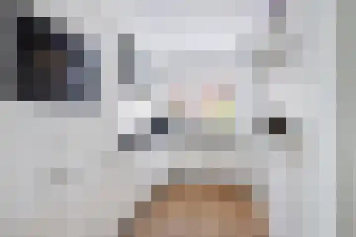 Neel Gijsenpad 12 Rotterdam thumbnail 14