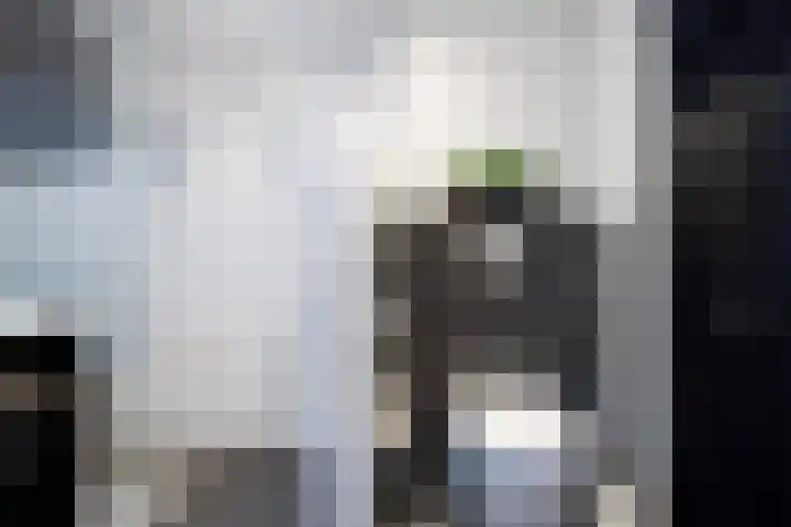Neel Gijsenpad 12 Rotterdam thumbnail 23