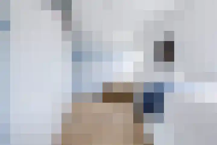 Neel Gijsenpad 12 Rotterdam thumbnail 26