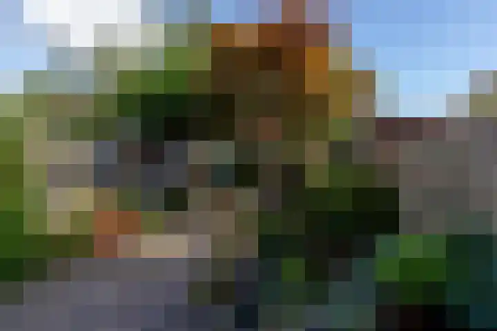 Neel Gijsenpad 12 Rotterdam thumbnail 34