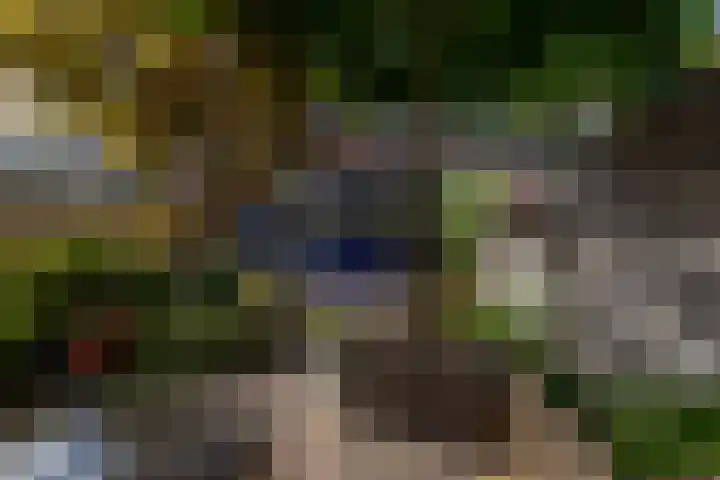 Neel Gijsenpad 12 Rotterdam thumbnail 37
