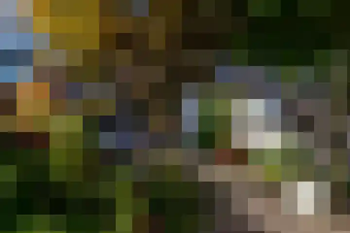Neel Gijsenpad 12 Rotterdam thumbnail 38