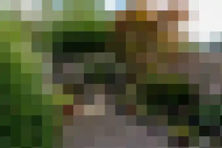 Neel Gijsenpad 12 Rotterdam thumbnail 4