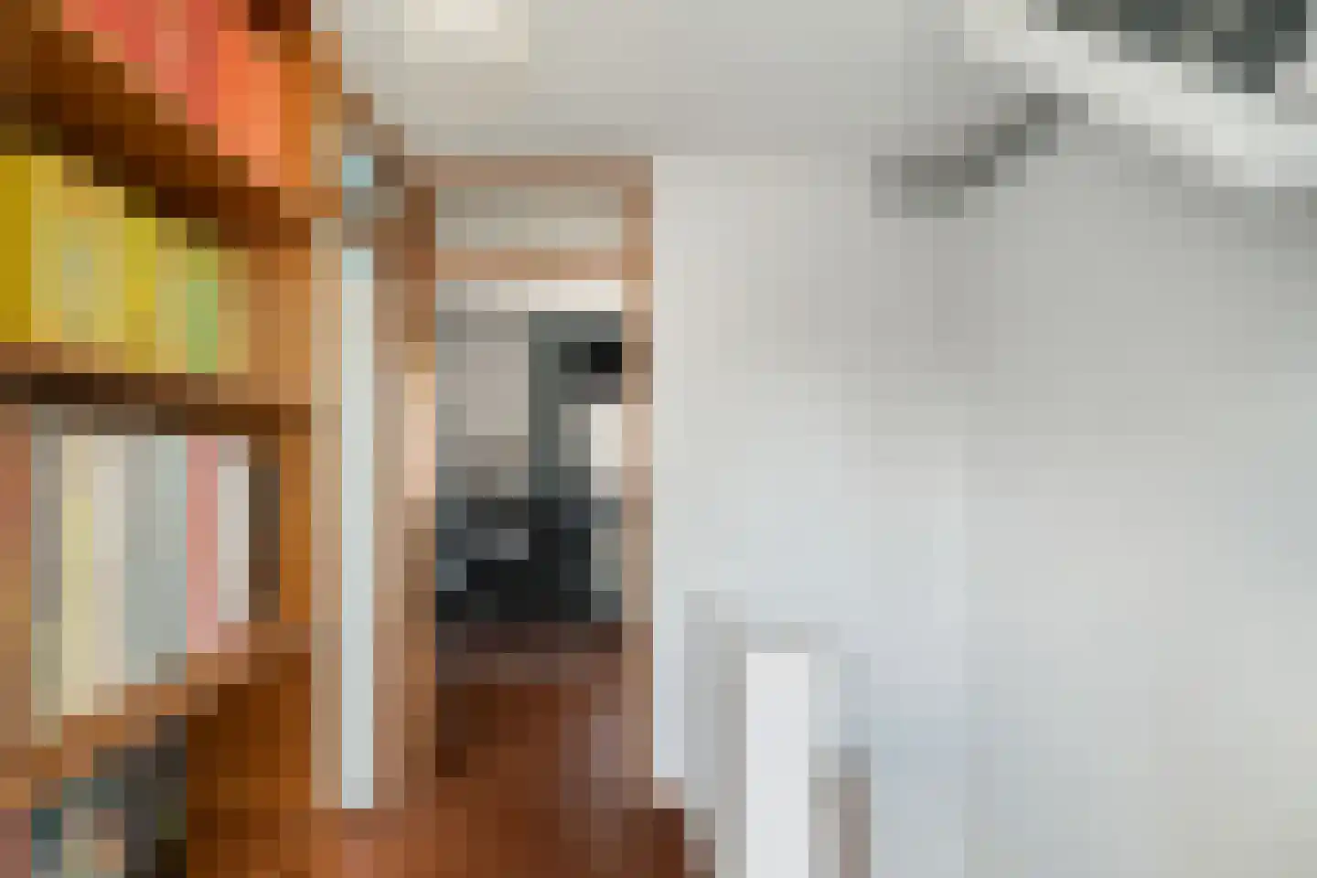 Neel Gijsenpad 4 Rotterdam thumbnail 36