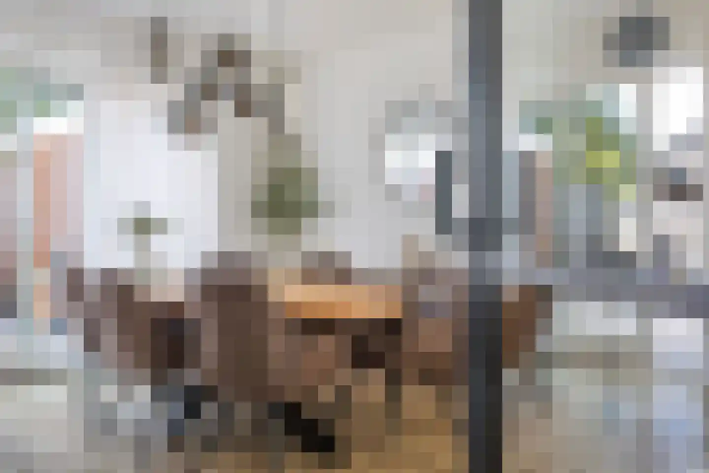 Neeltie Jansstraat 10 St.-Jacobiparochie thumbnail 11