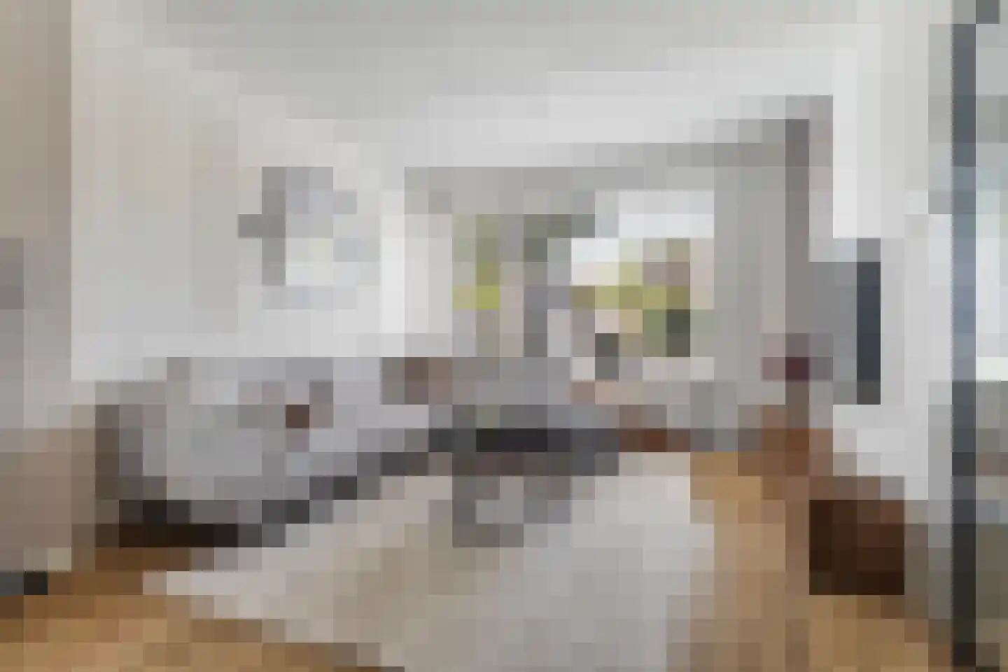 Neeltie Jansstraat 10 St.-Jacobiparochie thumbnail 12