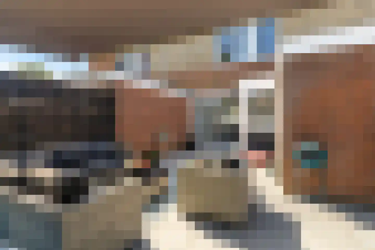 Neeltie Jansstraat 10 St.-Jacobiparochie thumbnail 40