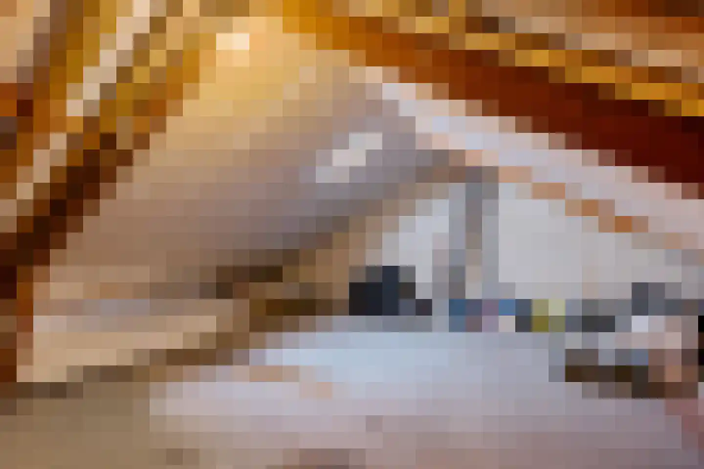 Neeltie Jansstraat 12 St.-Jacobiparochie thumbnail 25